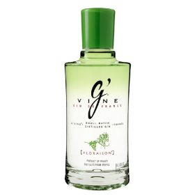 GVine Gin Floraison 1,0 40%