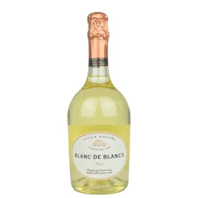 Prosecco Villa Folini Spumante Blanc De Blancs 0,75l 11%