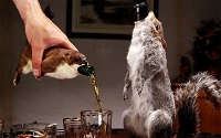 Bizarr alkoholok